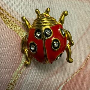 Vibrant Red and Gold Ladybug Brooch